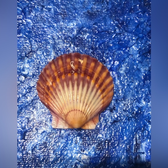 Ocean 🌊 Sea Art Handmade: Acrylic & Shell - Picture 6 of 16